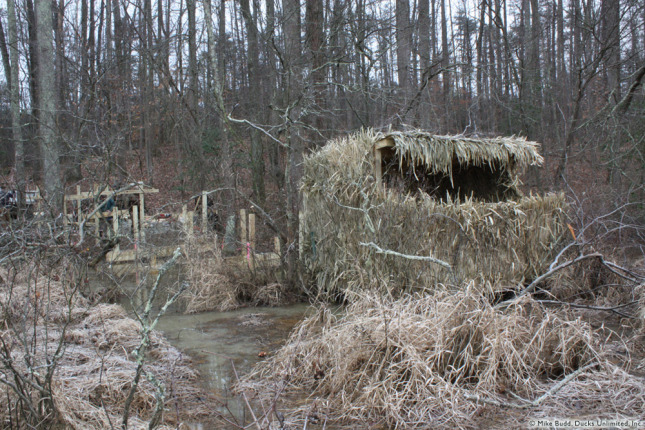 Blind Building for the Maine Duck Hunter – Valley's Word